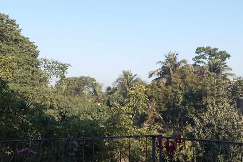 কলকাতা সহ দক্ষিণবঙ্গেও একই ধরণের আবহাওয়ার কথাই ওয়েদার ফোরকাস্টে জানানো হয়েছে৷ তবে বুধবার দিন আকাশে মেঘ রোদের খেলা জারি থাকবে৷