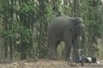 ‘ঐরাবতের’
