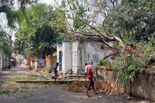 কালবৈশাখীর