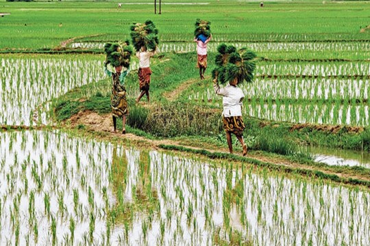 প্রতীকী ছবি