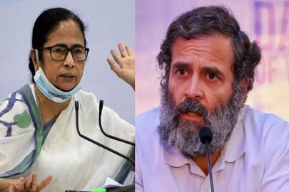 রাহুলের পাশে দাঁড়ান মমতা।