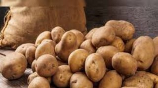 অনেক চাষিই মোটা টাকা খরচ করে জমি ভাগে নিয়ে আলু চাষ করেছিলেন