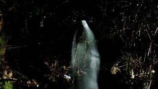 প্রতীকী ছবি