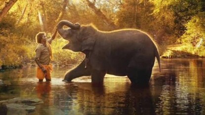 তথ্যচিত্র ‘দ্য এলিফ্যান্ট হুইস্পারার্স’ তথ্যচিত্র ‘দ্য এলিফ্যান্ট হুইস্পারার্স’