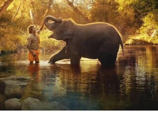 তথ্যচিত্র ‘দ্য এলিফ্যান্ট হুইস্পারার্স’