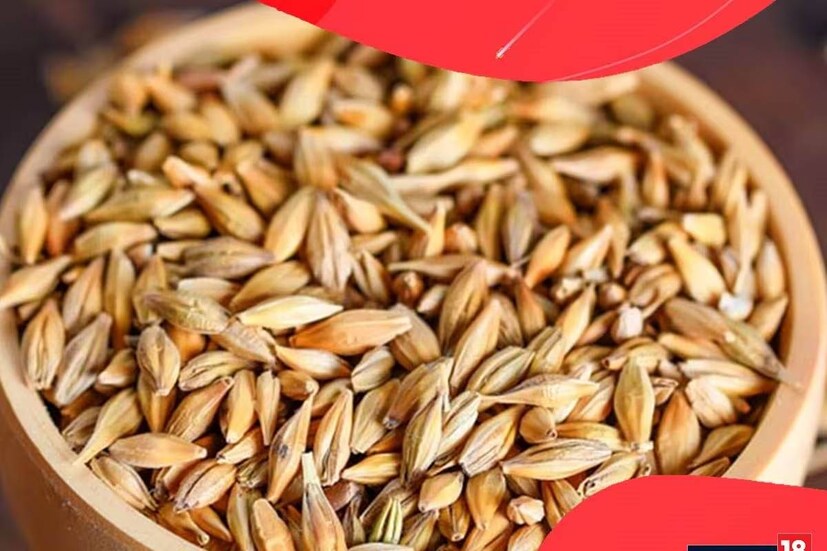 আগে মধ্যবিত্ত বাঙালি বাড়িতে অসুখের পথ্য মানেই ছিল বার্লি ৷ ফাইবার ও প্রোটিনে সমৃদ্ধ বার্লি ৷ এতে কোলেস্টেরলের মাত্রা কম থাকে ৷ নিয়ন্ত্রণ করা যায় বাড়তি ওজনও ৷ বার্লির দৌলতে হৃদযন্ত্রে ব্যাড কোলেস্টেরলের প্রভাব কম পড়ে ৷ যাঁরা কোলেস্টরলের সমস্যায় ভোগেন, তাঁদের ডায়েটে বার্লিজল থাকা দরকার ৷