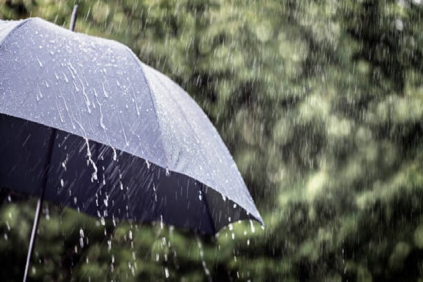 ১৭ মার্চ শুক্রবার। উত্তরবঙ্গের বাকি জেলা দার্জিলিং, কালিম্পং, আলিপুরদুয়ার, কোচবিহার ও জলপাইগুড়িতে বজ্রবিদ্যুৎ-সহ হালকা মাঝারি বৃষ্টি, সঙ্গে ৩০ থেকে ৪০ কিলোমিটার গতিবেগে দমকা ঝড়ো হাওয়া বইতে পারে।