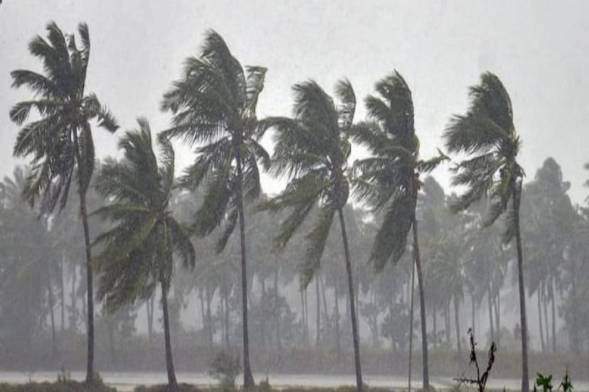দক্ষিণবঙ্গে আপাতত পরবর্তী ৪৮ ঘণ্টায় বাড়বে তাপমাত্রা। শুক্র ও শনিবার দুদিন বৃষ্টির সম্ভাবনা কম। মেঘমুক্ত পরিষ্কার আকাশ দক্ষিণবঙ্গে। দিন ও রাতের তাপমাত্রা সামান্য বাড়বে। দু থেকে তিন ডিগ্রি তাপমাত্রা বাড়ার সম্ভাবনা। রবিবার থেকে আবহাওয়ার পরিবর্তন হবে। বজ্রবিদ্যুৎ সহ ঝড় বৃষ্টির সম্ভাবনা শুরু হবে। বুধ বৃহস্পতিবার পর্যন্ত স্পেল চলতে পারে। সোম ও মঙ্গলবার বৃষ্টি বেশি হবার সম্ভাবনা।