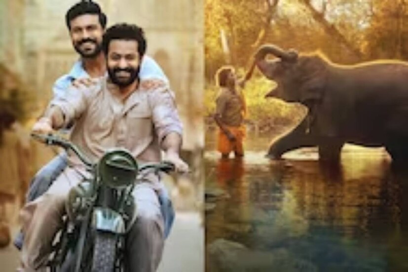 এ বছর অস্কার মঞ্চে ভারতের জয়জয়কার৷ সেরা স্বল্পদৈর্ঘ্যের তথ্যচিত্র বিভাগে পুরস্কৃত ‘দ্য এলিফ্যান্ট হুইস্পারার্স’ এবং সেরা মৌলিক গান হিসেবে অস্কার পেল ‘নাটু নাটু’৷