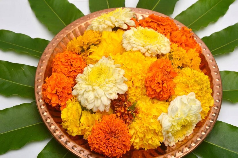 বাস্তুশাস্ত্র মতে উজ্জ্বল হলুদ গাঁদাফুল সৌভাগ্য ও আশা বহন করে নিয়ে আসে। বাড়ি থেকে অশুভ শক্তি দূরে রেখে পজিটিভিটি ছড়িয়ে দেয়। বাড়ির উত্তর বা পূর্ব কোণে রাখুন গাঁদা ফুলের টব। শুভ অনুষ্ঠানে গাঁদাফুল দিয়ে সাজান তোরণ।