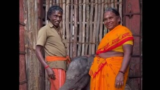 দক্ষিণী এই দুই প্রকৃতি রক্ষক জয় করেছেন অসংখ্য হৃদয়