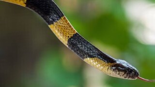 প্রতীকী ছবি