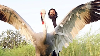 সারস-মানুষের বন্ধুত্ব মন জয় করেছিল নেটদুনিয়ার