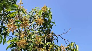 প্রতীকী ছবি