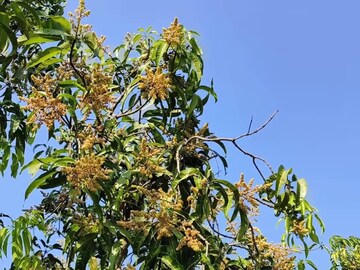 প্রতীকী ছবি