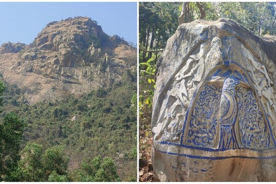 পাখি