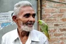 ১৪ বছর ধরে খাঁচার বাইরেই পালন, সত্যরঞ্জনের পোষ্য টিয়াপাখি মিতুয়ার গল্প জানেন!