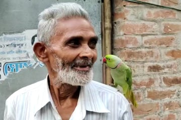 সত্যরঞ্জন