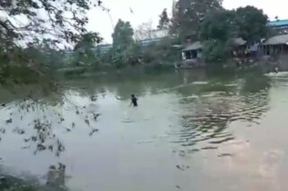 পুকুরে ঝাঁপ দিয়েও বাঁচল না চোর। 