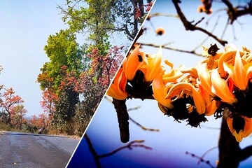 পুরুলিয়ায়