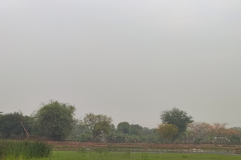 গরমের দাপটে অতি অতিষ্ঠ হয়ে উঠেছিল রাজ্যবাসী। প্রতিনিয়ত বেড়েই চলেছিল তাপমাত্রার পারদ। বৃষ্টির কারণে তাপমাত্রার পারদ বেশ খানিকটাই কমেছে। কিছুটা হলেও স্বস্তি মিলেছে রাজ্যবাসীদের। Input-Sarmistha Banerjee