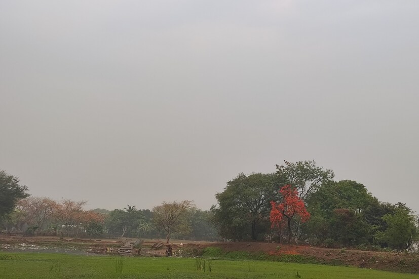 আরও ২ থেকে ৩ ডিগ্রি তাপমাত্রা বাড়তে পারে দক্ষিণবঙ্গের বিভিন্ন জেলায়। চার-পাঁচ দিন বৃষ্টির কোনও সম্ভাবনা নেই দক্ষিণবঙ্গের জেলা গুলিতে। কবে ছিটেফোটা হলেও বৃষ্টির দেখা মিলবে সেই আশায় দিন গুনছে বঙ্গবাসী। প্রতিবেদন- শর্মিষ্ঠা বন্দ্যোপাধ্যায়