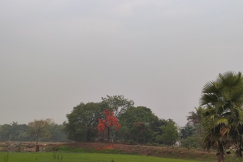 বিগত বেশ কিছুদিনের পুরুলিয়ার তাপমাত্রা অনেকটাই বেড়ে গিয়েছিল। তীব্র গরমের দাপতে নাজেহাল হয়ে উঠেছিল জেলাবাসী। অবশেষে গরমের হাত থেকে কিছুটা হলেও রক্ষা পেল পুরুলিয়ারবাসী। বৃহস্পতিবার বেলা বাড়ার পর থেকেই ছিল মেঘলা আকাশ। দুপুর থেকেই শুরু হয় বৃষ্টিপাত। ‌রাতের দিকেও বৃষ্টি হয়।