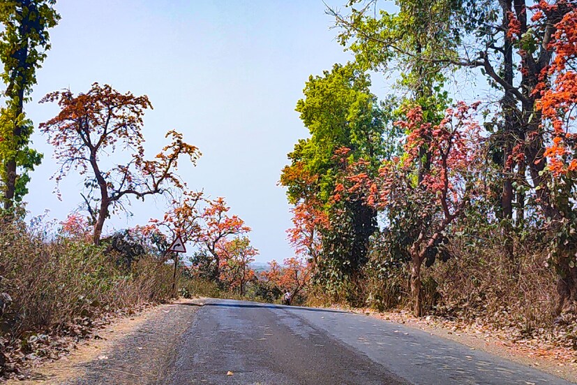  আগামী দিনে দক্ষিণবঙ্গে বৃষ্টিপাতের সম্ভাবনা দেখা দিচ্ছে। উত্তরবঙ্গের দার্জিলিং এবং কালিম্পং-এর কোনও কোনও জায়গায় বজ্রবিদ্যুৎ-সহ হাল্কা বৃষ্টির সম্ভাবনা রয়েছে । রাজ্যের অন্যান্য জেলাগুলির আবহাওয়া মোটামুটি শুষ্ক থাকবে। তবে দক্ষিন বঙ্গের কয়েকটি জেলা যেমন‌ পুরুলিয়ায় , বাঁকুড়া‌ , ঝাড়গ্ৰামে আগামী ২-৩ দিন বৃষ্টিপাতের সম্ভাবনা রয়েছে বলে আভাস দিয়েছে আবহাওয়া দফতর।
