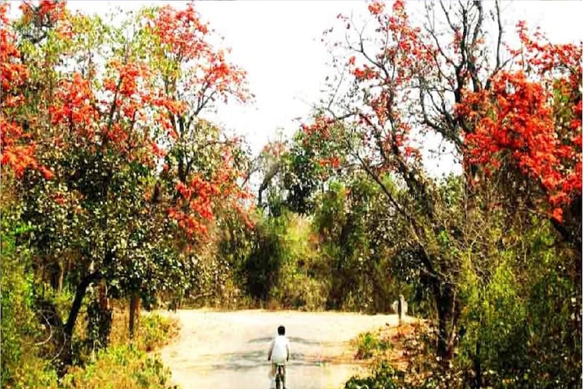 *রাতের তাপমাত্রা কমছে। বৃহস্পতিবার পুরুলিয়ায় সর্বোচ্চ তাপমাত্রার পারদ থাকতে পারে ৩৫ ডিগ্রি সেলসিয়াস ও সর্বনিম্ন তাপমাত্রার পারদ থাকতে পারে ১৫ ডিগ্ৰি সেলসিয়াস, যা বিগত দিনের তুলনায় অনেকটাই বেশি। ফাইল ছবি। 