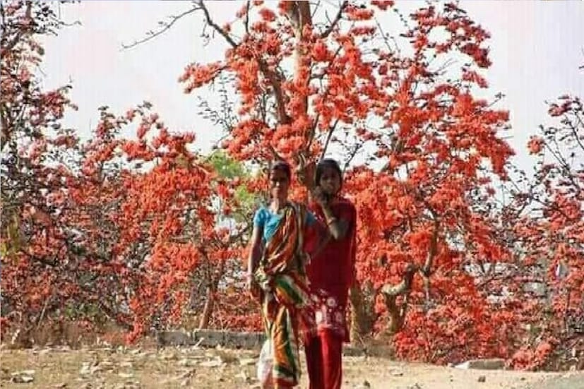*দার্জিলিং এবং কালিম্পংয়ে বৃষ্টিপাতের সম্ভাবনা। জেলার আবহাওয়া মোটামুটি শুষ্কই থাকবে। রাতের দিকে তাপমাত্রার পরিবর্তন না হলে সকালের দিকে ধীরে ধীরে বাড়বে তাপমাত্রা। ফাইল ছবি। 