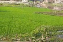 নদীর ওপর কংক্রিটের বাড়ি, চলছে চাষবাস! ভয়ঙ্কর অবস্থা শ্রীমতীর