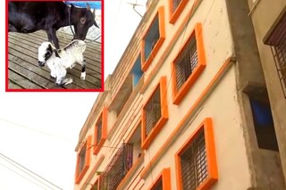 অভিযুক্ত দম্পতির আবাসন