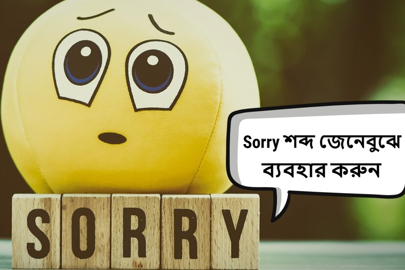 নয়া দিল্লি: 'Sorry' শব্দটি ইংরেজি শব্দ 'sarig' থেকে এসেছে, যার অর্থ রাগ করা বা মন খারাপ করা। যদিও বেশির ভাগ ক্ষেত্রে সরি শব্দটি দুঃখিত বোধাতে ব্যবহার করা হয়। এখন সকলে অভ্যাসে পরিণত হয়েছে।  (প্রতীকী ছবি, সৌজন্যে pixabay)