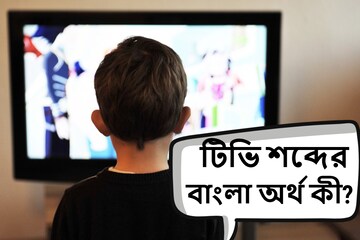 TV তো ইংরাজি শব্দ, কিন্তু এর বাংলা কী! মিলিয়ে দেখুন উত্তর মেলাতে পারছেন কিনা