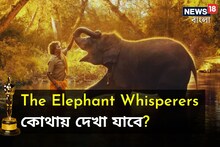 'দ্য এলিফ্যান্ট হুইস্পারার্স'-এর অস্কারজয়, ঘরে বসেই কোথায় দেখবেন ছবিটি? জানুন