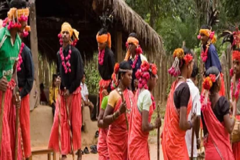 কী হয় সেদিনের উৎসবে৷ বিবাহিতদের আয়োজনে সেদিন সম্প্রদায়ের অবিবাহিত যুবক-যুবতীরা একসঙ্গে আসেন৷ তার পর সেখানে, অর্থাৎ ঘটুলে গান-বাজনা হয়৷ তার পর সেখান থেকে বড়রা চলে যান, আর ঘরের মধ্যে প্রবেশ করেন যুবক-যুবতীরা৷ সেখানে তাঁরা যৌনতায় লিপ্ত হন৷ 