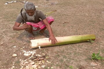 খেতে ভাল লাগুক বা না লাগুক, কলা গাছের থোড় এই ভয়ানক রোগ থেকে রেহাই দেবেই! জানতেন