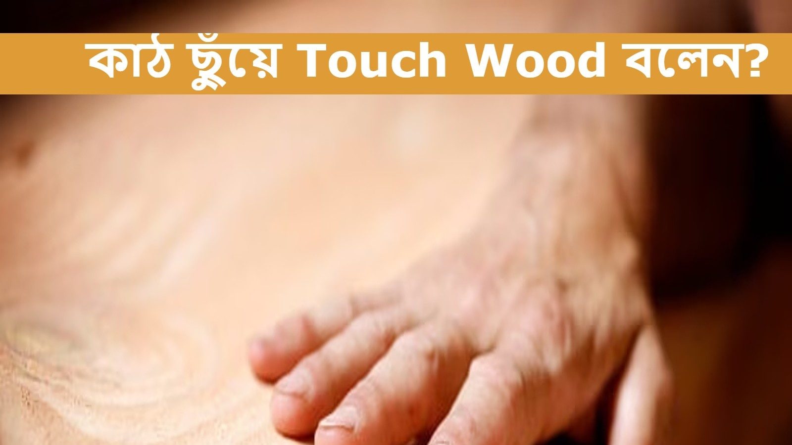 touch-wood-meaning-touch-wood