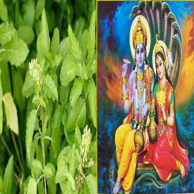 প্রদীপ প্রস্তুতের পরে ঘিতে ডুবিয়ে রাখতে হবে ৷ তারপরে ভাল দিন দেখে পুজো করুন ভগবান নারায়ণের পুজো করুন এতে জীবন অত্যন্ত সুন্দর ও সুরক্ষিত হবে ৷ প্রতীকী ছবি ৷