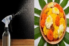 চিরকালের মতো বিদায় নেবে খুশকি! ব্যবহার করুন এই ঘরোয়া ফুলের স্প্রে