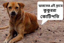 অবাক কাণ্ড! ভারতের এই গ্রামে কুকুররা কোটিপতি, সম্পত্তির পরিমাণ জানলে চমকে যাবেন