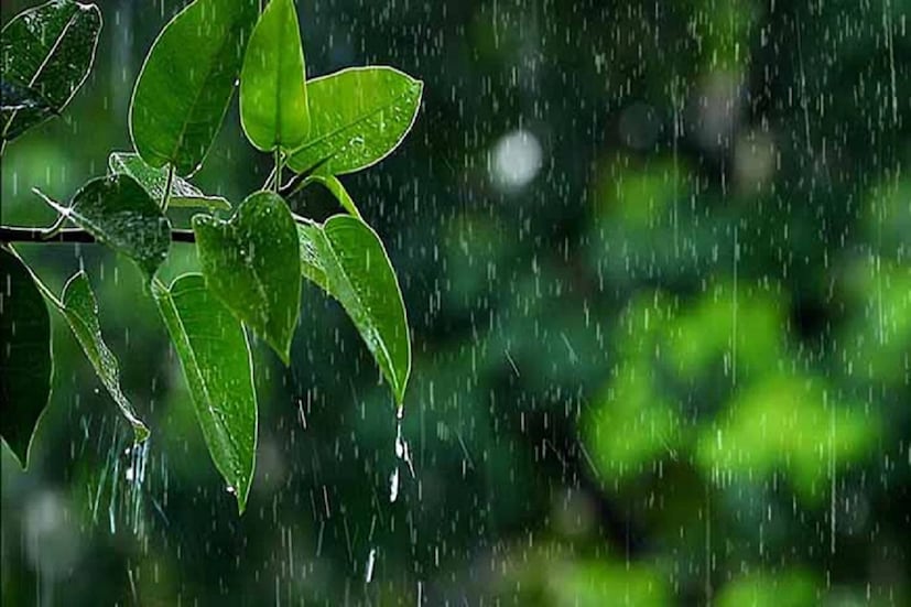 বেশ কয়েকদিন ধরেই রাজ্যজুড়ে বৃষ্টি ও ঝড় শুরু হয়েছে। কোথাও বেশি, কোথাও কম। তবে আবহাওয়া দফতরের পূর্বাভাস, ঝড়ের গতিবেগ কমবে। রাজ্যজুড়েই বাড়বে বৃষ্টি। উত্তর ও দক্ষিণবঙ্গের নয় জেলায় ভারী বৃষ্টির সতর্কতা। বুধবার থেকে আবহাওয়ার উন্নতি হতে পারে। (তথ্য- বিশ্বজিৎ সাহা)