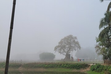 বৃষ্টির পর কুয়াশার দাপট, কলকাতার পাশের জেলার আবহাওয়ায় বিরাট চমক!