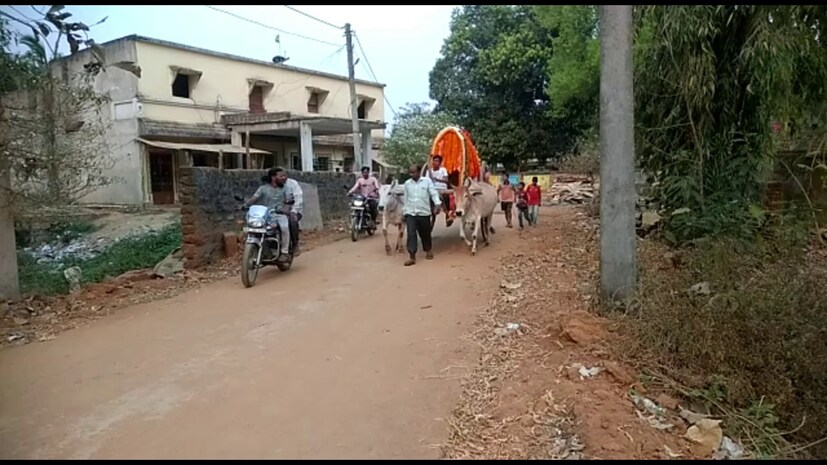আজ বিলুপ্তির পথে গরুর-গাড়ি৷ গ্রাম বাংলা ছাড়া খুব একটা দেখাও যায় না৷ সেই গরুর-গাড়িই হয়ে উঠল বিবাহ অনুষ্ঠানের বাহক৷ বিয়ের সময় গরুর গাড়িকে বেছে নিলেন ওড়িশার গঞ্জাম জেলার এক দম্পতি। সরিতা বেহেরা এবং বর মহেন্দ্র নায়ক দুজনেই ভুবনেশ্বরের একটি বেসরকারি সংস্থায় কাজ করেন৷ বিয়ের সিদ্ধান্ত নেওয়ার পর, তাঁরা পুরনো ঐতিহ্য অনুসরণ করতে চেয়েছিলেন৷