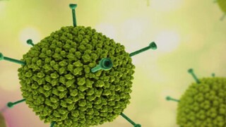 অ্যাডিনোভাইরাসে রাজ্যে শিশুদের মৃত্যুমিছিল! কেন্দ্রকে অবগত করল বঙ্গ বিজেপি অ্যাডিনোভাইরাসে রাজ্যে শিশুদের মৃত্যুমিছিল! কেন্দ্রকে অবগত করল বঙ্গ বিজেপি