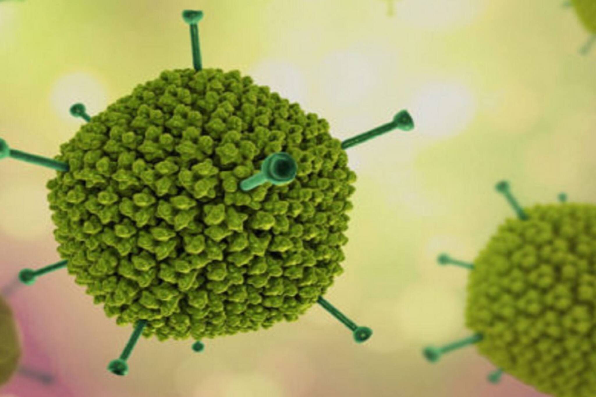 অ্যাডিনোভাইরাসে রাজ্যে শিশুদের মৃত্যুমিছিল! কেন্দ্রকে অবগত করল বঙ্গ বিজেপি