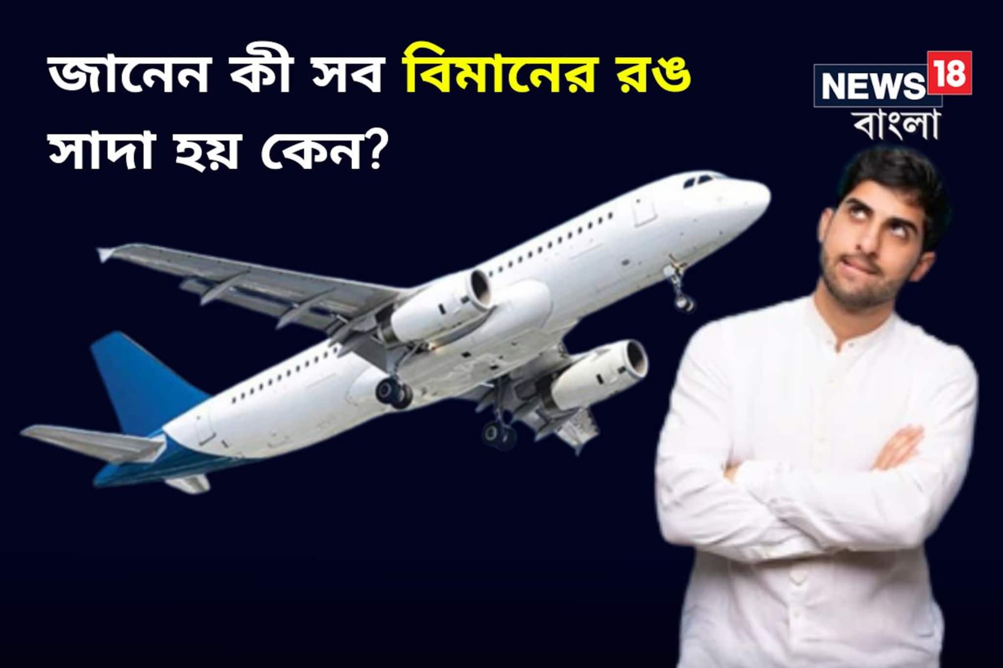 অন্য কিছু হওয়ার জো নেই- পৃথিবীর সব বিমানের রঙ সাদা! কেন এমন হয়, জেনে নিন