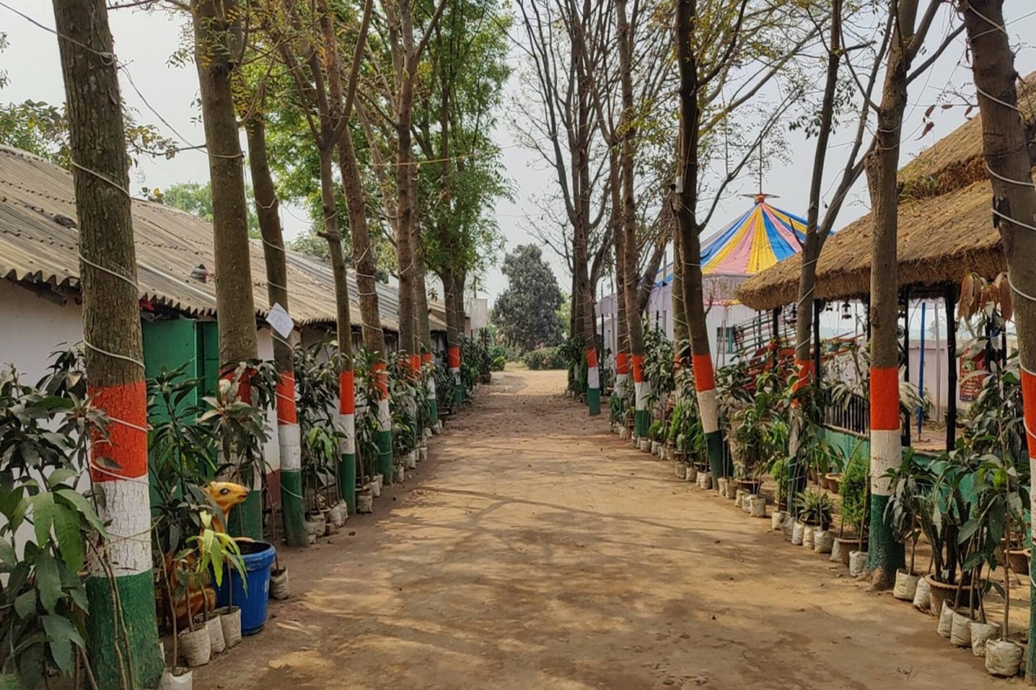 শহরের ব্যস্ত জীবন থেকে মুক্তি চাই? মাত্র কয়েক ঘণ্টায় পৌঁছে যান অরণ্য পার্কে