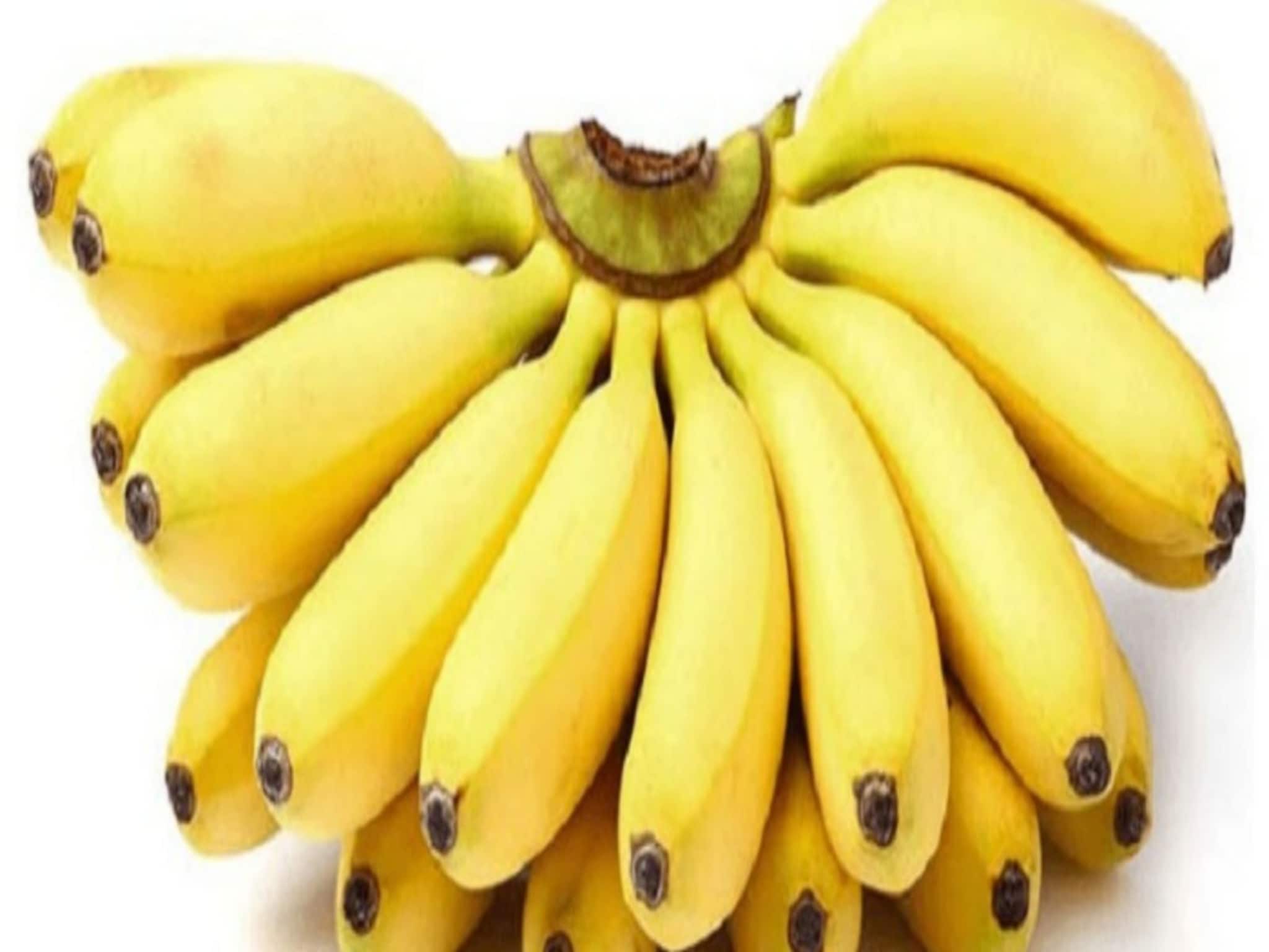 Banana Effect In Summer: গরমে গপগপিয়ে কলা খাচ্ছেন নাকি! এই সময়ে কলা খেলে কি হতে পারে শরীরে জানেন? শুনলে চমকে যাবেন!