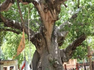 বারাবাঙ্কি... ইতিহাসের সাক্ষী দেয়! 